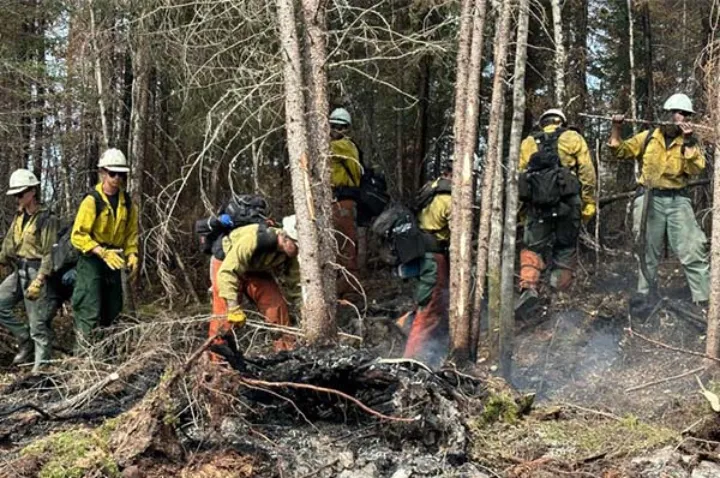 در آتش‌سوزی‌های کبک مساحتی برابر با ۳۵۰۰ پارک مون‌رویال خاکستر شد